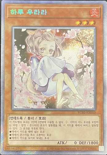 遊戯王 韓国版 シングルカードエクストラシークレットレア遊戯王 韓国 