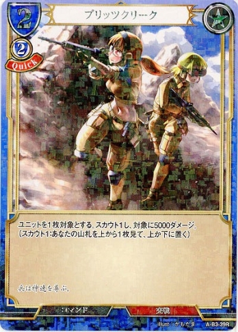 ��R�ѥ���ۥ֥�åĥ��꡼��