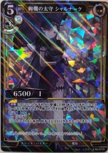 ��SR�ѥ���۰�।����� �����ʡ���