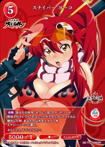 ��SR�ۥ��ʥ��ѡ� �衼��