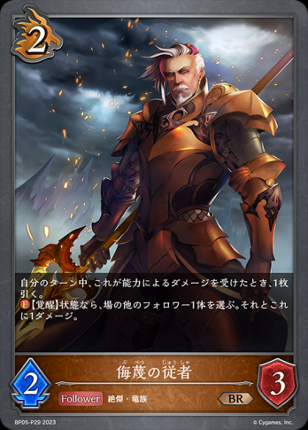 【BRプレミアム】侮蔑の従者