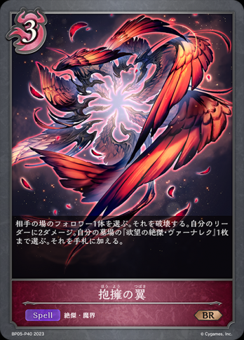 【BRプレミアム】 抱擁の翼