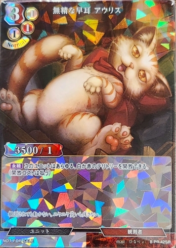 ��PR��̵�����Ἢ �����ꥹ(SR����)