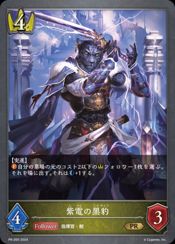 【PR】紫電の黒豹