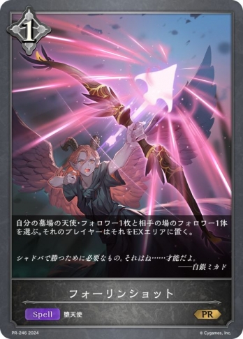 【PRプレミアム仕様】フォーリンショット