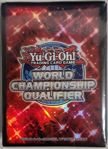 【海外公式】 World Championship Qualifier 2023 約100枚