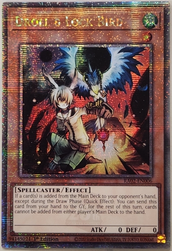 ��QCSE��Droll & Lock Bird (1st Edition) �ɥ���������å��С���