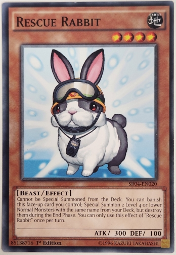 ��N��Rescue Rabbit (1st Edition) �쥹���塼��ӥå�