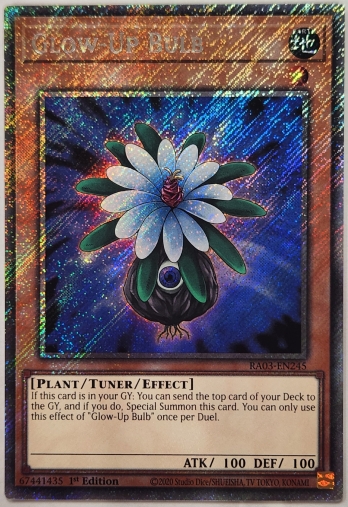 【PS】Glow-Up Bulb グローアップ・バルブ (1st Edition)