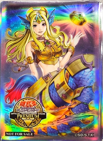 �ڳ��������� ������ ���ӥ��饤�� ���꡼�� ��70��