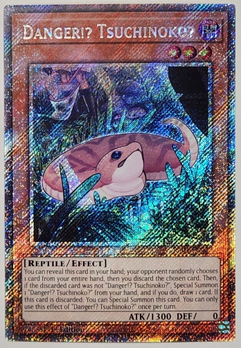 【PS】Danger!? Tsuchinoko? 未界域のツチノコ (1st Edition)