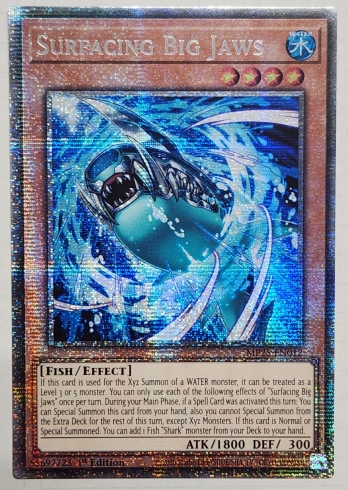 ��STR��Surfacing Big Jaws ��夹��ӥå������硼�� (1st Edition)