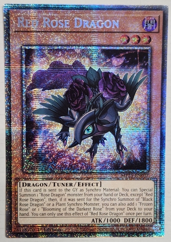 ��STR��Red Rose Dragon ��åɥ��������ɥ饴�� (1st Edition)