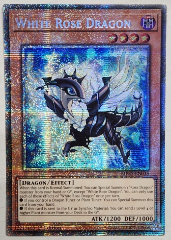 ��STR��White Rose Dragon �ۥ磻�ȥ��������ɥ饴�� (1st Edition)