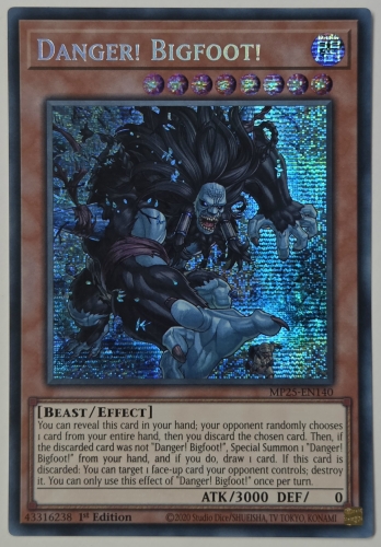 ��PSE��Danger! Bigfoot! ̤����Υӥå��եå� (1st Edition)